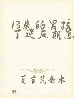 13岁的男孩到了逆反期怎么教