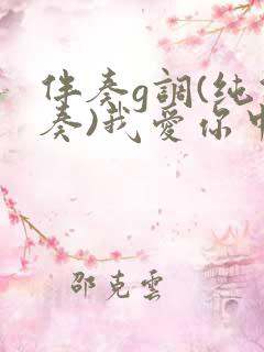 伴奏g调(纯伴奏)我爱你中国