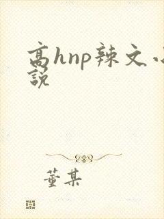 高hnp辣文小说