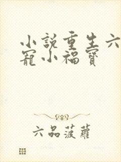 小说重生六零团宠小福宝
