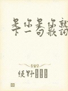 是你是你就是你下一句歌词是什么