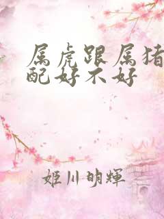 属虎跟属猪的婚配好不好