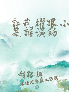 许我耀眼小许妍是谁演的