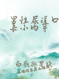 男性尿道口两侧长小肉芽