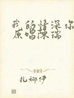 我的情深你若懂原唱陈瑞