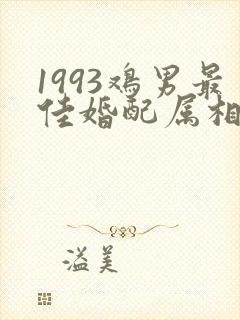 1993鸡男最佳婚配属相是什么