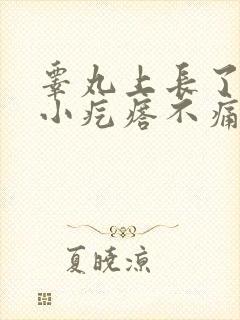 睾丸上长了一个小疙瘩不痛不痒