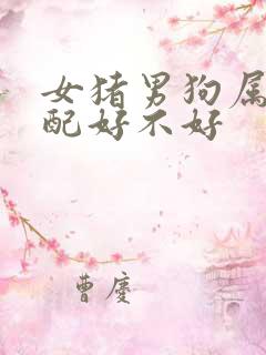 女猪男狗属相婚配好不好