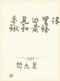 梦见田里很多泥鳅和黄鳝