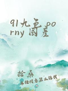 91九色 porny 国产