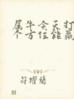 属牛今天打牌哪个方位能赢