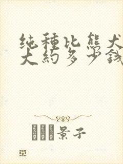 纯种比熊犬幼崽大约多少钱一只