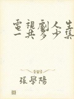 电视剧人生之路一共多少集