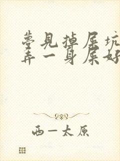 梦见掉屎坑里了弄一身屎好不好