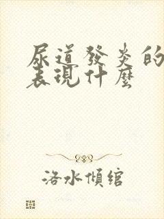 尿道发炎的症状表现什么