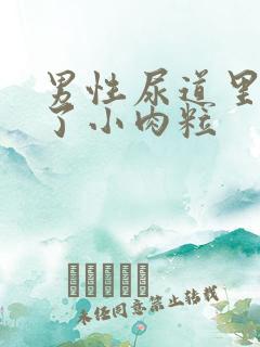 男性尿道里面长了小肉粒