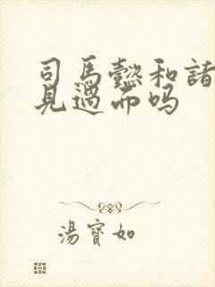 司马懿和诸葛亮见过面吗