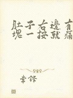 肚子右边有个硬块一按就痛