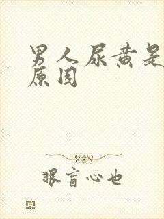 男人尿黄是什么原因