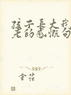 孩子长大我们变老的感慨句子