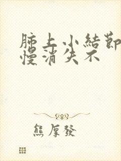 肺上小结节会慢慢消失不