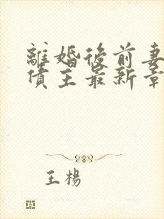 离婚后前妻成了债主最新章节目录