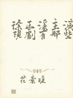 徐正溪主演的电视剧有哪些