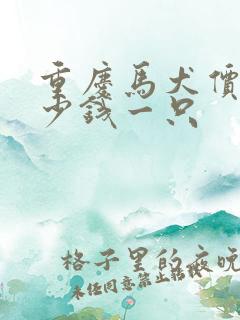 重庆马犬价格多少钱一只