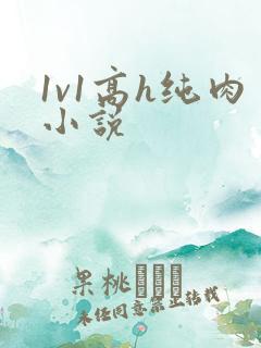 1v1高h纯肉小说