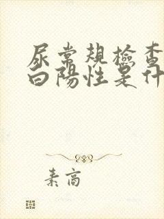 尿常规检查尿蛋白阳性是什么意思