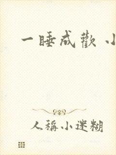 一睡成欢 小说