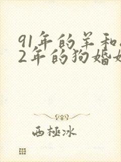 91年的羊和82年的狗婚姻怎么样