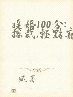 暖婚100分:总裁,轻点宠小说