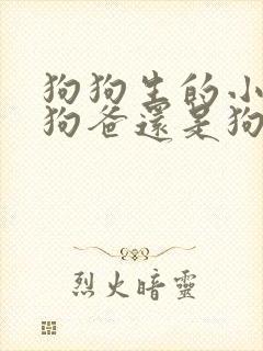 狗狗生的小狗像狗爸还是狗妈