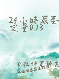 24小时尿蛋白定量0.13