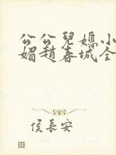 公公儿媳小说苏媚赵春城全文阅读