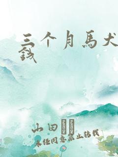 三个月马犬多少钱