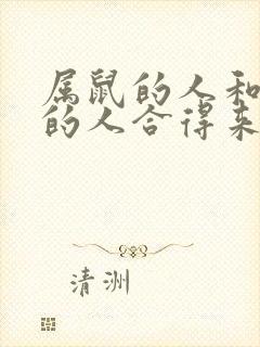 属鼠的人和属蛇的人合得来吗