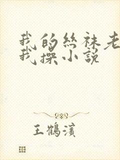 我的丝袜老师让我操小说