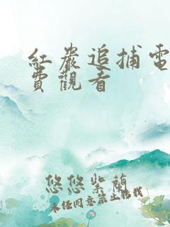 红岩追捕电影免费观看