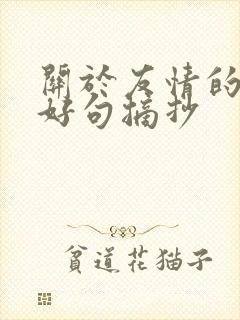 关于友情的好词好句摘抄