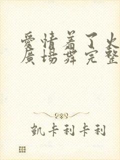 爱情着了火dj广场舞完整版