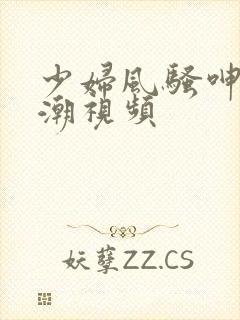 少妇风骚呻吟高潮视频