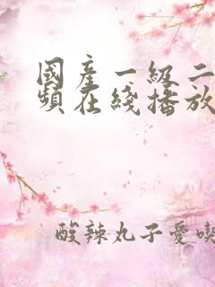 国产一级二级视频在线播放