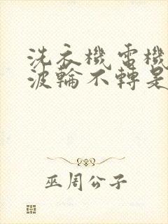 洗衣机电机转而波轮不转是啥原因