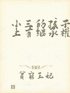 小三的孩子法律上有继承权吗