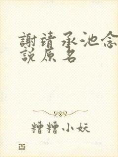 谢靖承池念的小说原名