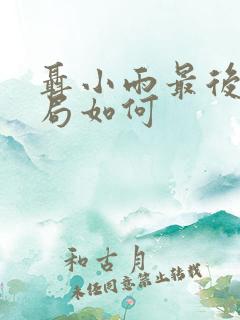 聂小雨最后的结局如何