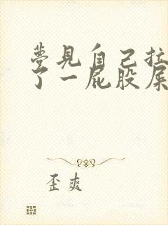 梦见自己拉屎坐了一屁股屎怎么回事儿