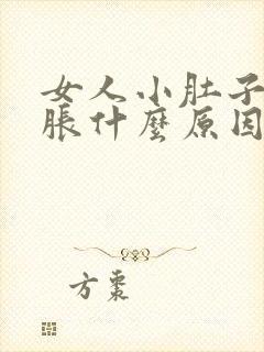 女人小肚子一直胀什么原因